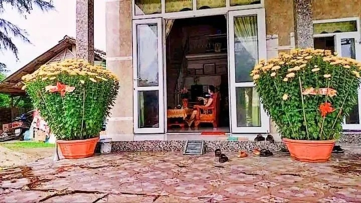 Tìm lại mùi tết 