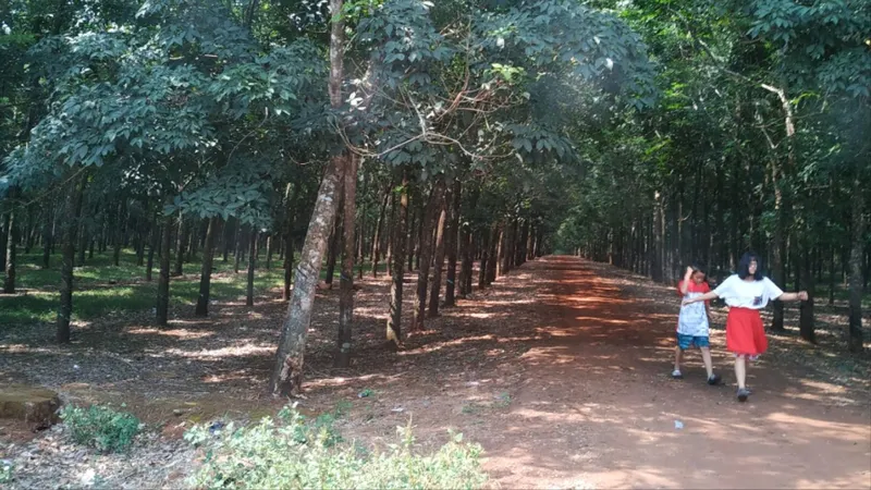 Miền lá xanh non