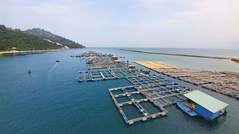 Làng bè chắn luồng tàu 