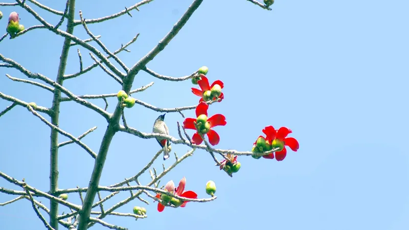 Những chiều cao nguyên