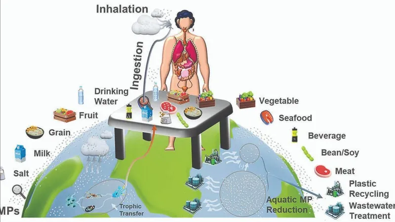 Bản đồ mức độ ăn phải vi nhựa của con người
