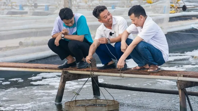 ĐBSCL tìm lời giải bài toán nhân lực chất lượng cao - Bài 1: Công, tư đều thiếu và yếu
