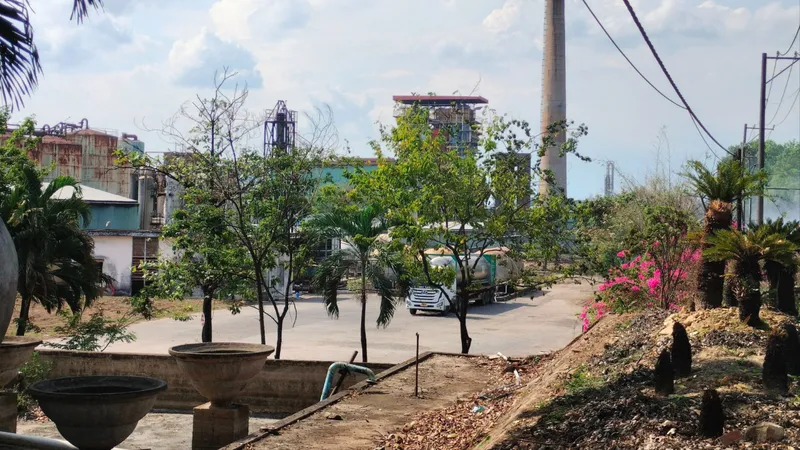 Xăng sinh học E5: Xăng xanh thành… đống nợ - Bài 3: Chưa xanh đã... tàn