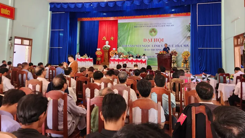 Quảng Nam thành lập Hội sâm Ngọc Linh và Hội quế Trà My