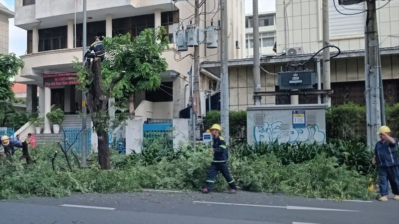 Nhân viên Công ty TNHH MTV Công viên cây xanh TPHCM cắt tỉa cây xanh trên đường Nguyễn Thị Minh Khai, quận 3, TPHCM. Ảnh :MINH HẢI