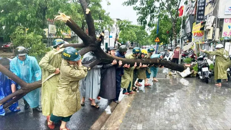 Đông Nam bộ: Cảnh báo nguy cơ cây đổ đè người đi đường