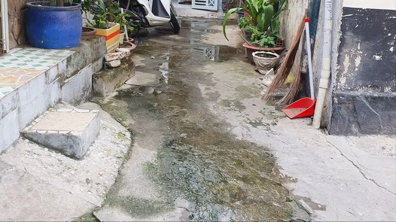 Hẻm vẫn còn ẩm ướt, hôi hám