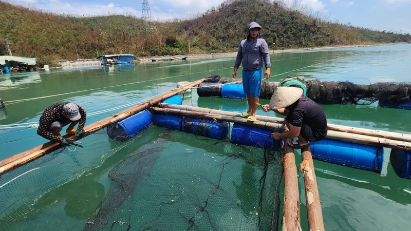 Cần kịch bản dài hạn để ứng phó thiên tai