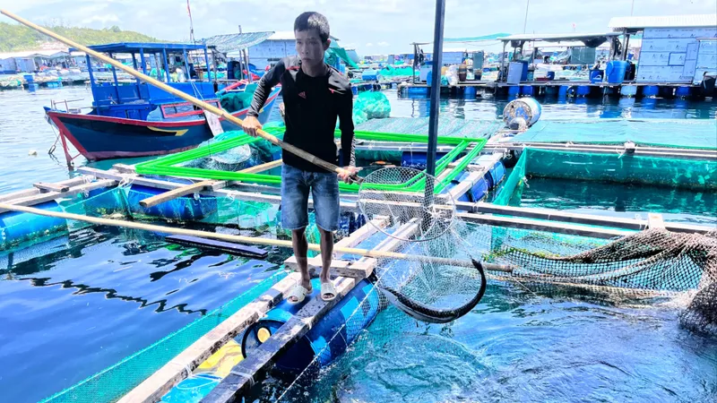 Khai thác, sử dụng hợp lý tài nguyên biển và hải đảo Việt Nam 
