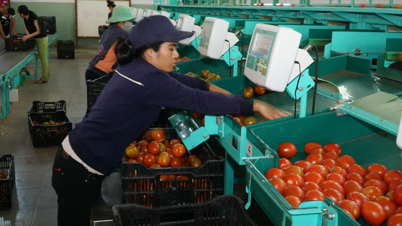 Thắng lớn nhờ định vị lại thị trường xuất khẩu