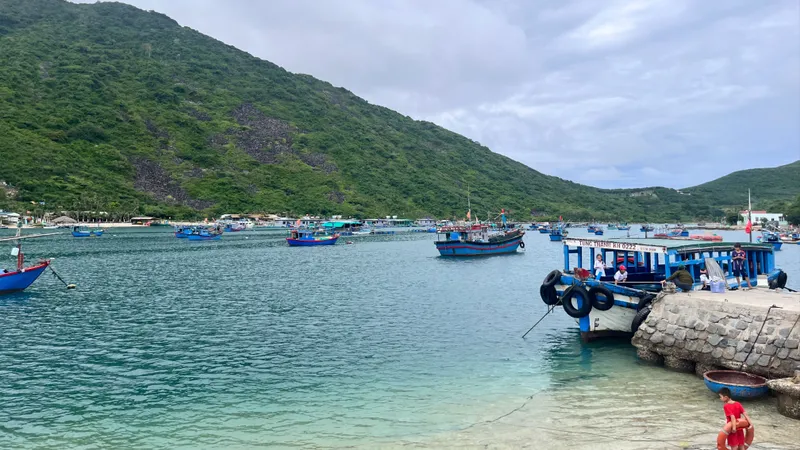Nha Trang: Tìm hướng phát triển bền vững cho đảo Bích Đầm