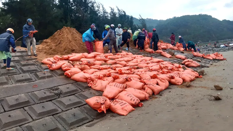 Người dân và các lực lượng chức năng gia cố kè biển xói lở ở xã Thịnh Lộc 