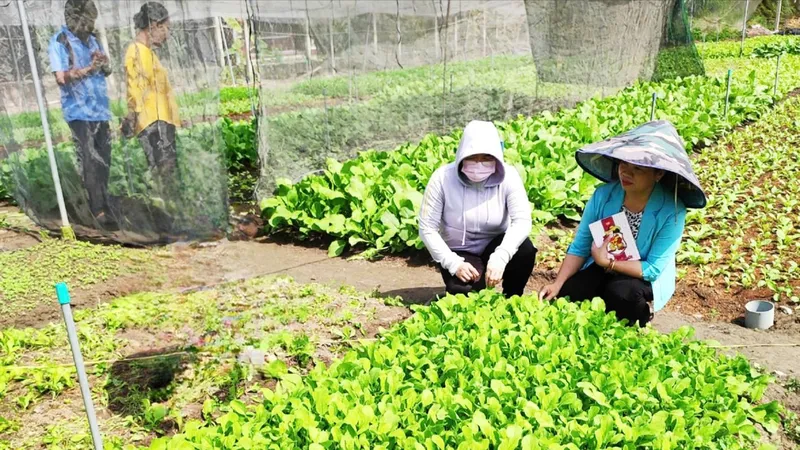 Vượt khó nhờ nguồn tín dụng chính sách xã hội
