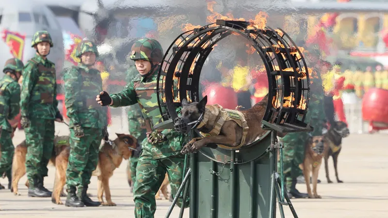 Màn biểu diễn mãn nhãn của đội quân khuyển cảnh. Ảnh: QUANG PHÚC