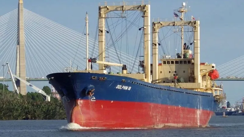 Tàu Dolphin 18