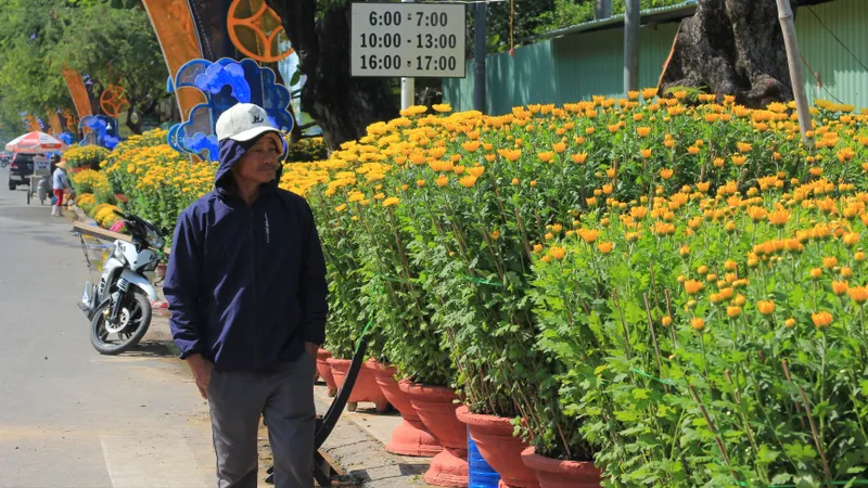 Khánh Hòa: Hoa tết bày bán ít hơn mọi năm