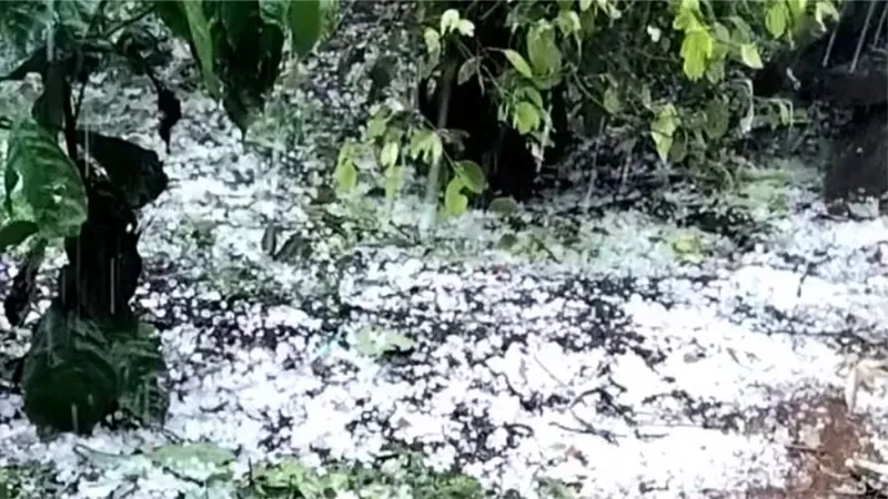 Mưa đá làm tốc mái 2 ngôi nhà và hàng chục hécta cây trồng bị ảnh hưởng