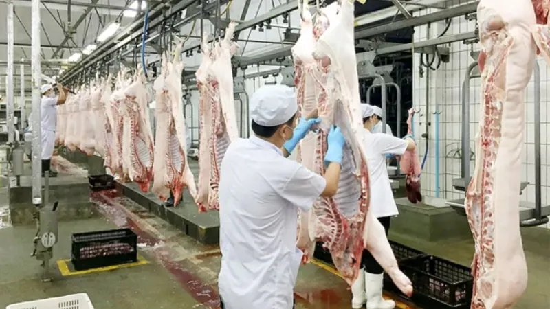 TPHCM nghiên cứu xây dựng sàn giao dịch thịt heo