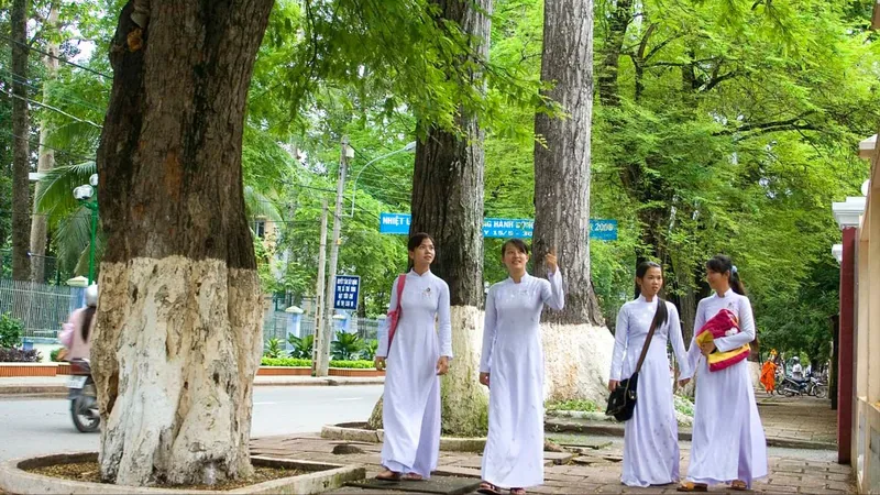 Học sinh thích thú đi dưới những tán cây cổ thụ trong nội đô thành phố Trà Vinh