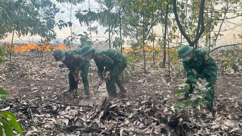Cán bộ, chiến sĩ Đồn Biên phòng Phong Hải chữa đám cháy rừng