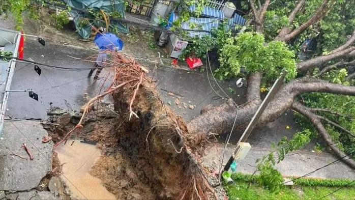 TPHCM chủ động ứng phó thiên tai mùa mưa bão