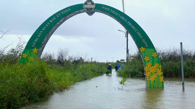 Làng rau sạch La Hường chìm trong nước ngày 12-6