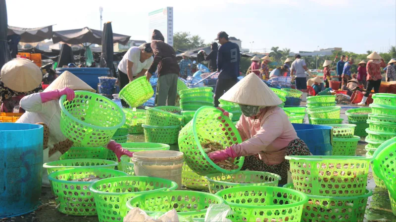 Những người phụ nữ đang phân loại các loại hải sản trước khi giao cho thương lái