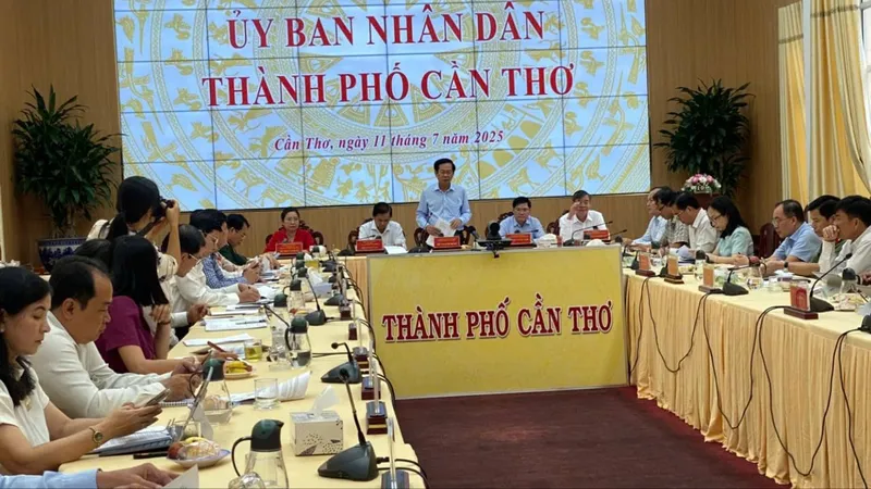 Quang cảnh cuộc họp