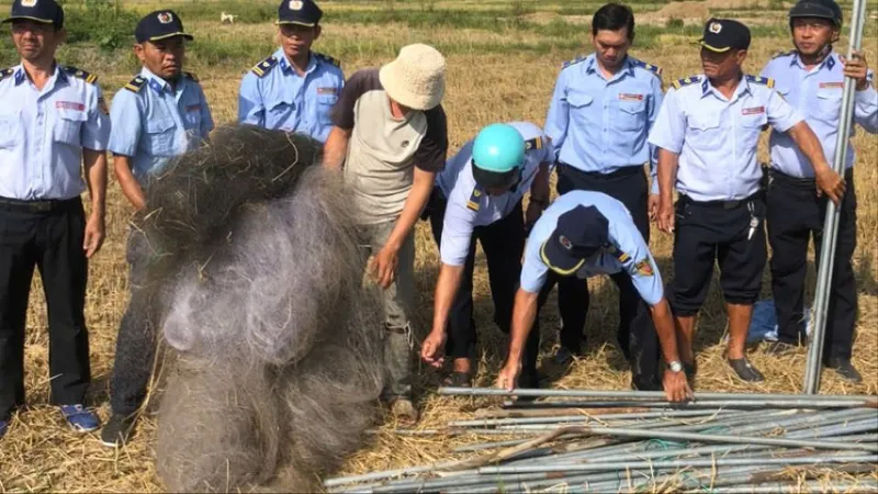 Nguy hại từ nạn săn bắt chim yến: Nỗ lực bảo vệ nguồn tài nguyên quý giá 