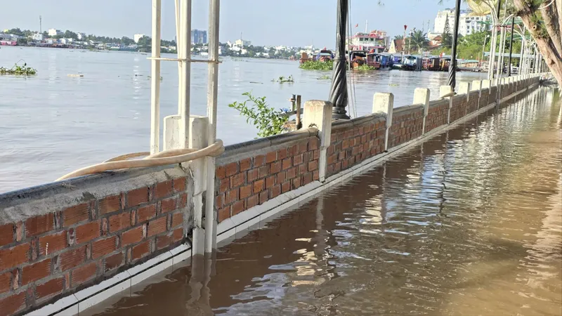 Nước từ sông Cần Thơ tràn lên bến Ninh Kiều