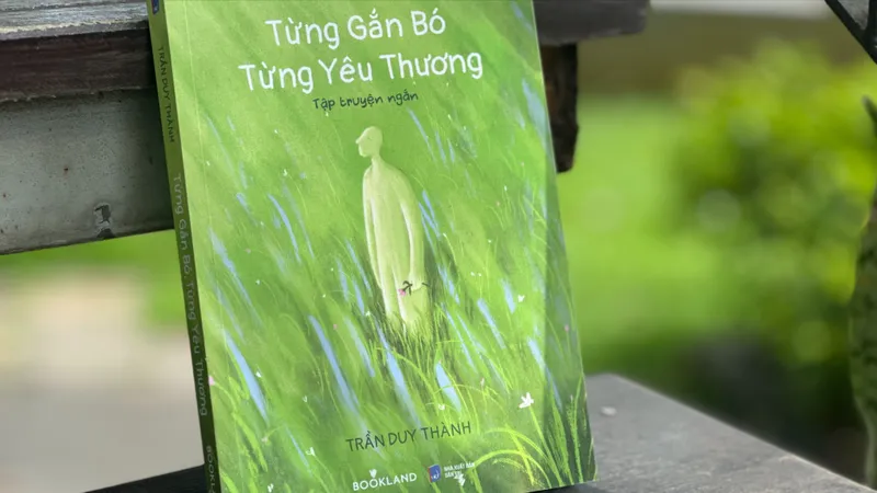 Những bông cúc dại kiên cường trong "Từng gắn bó, từng yêu thương"