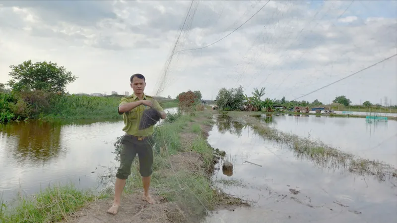 Kiểm lâm TPHCM ngăn chặn nạn tận diệt chim trời