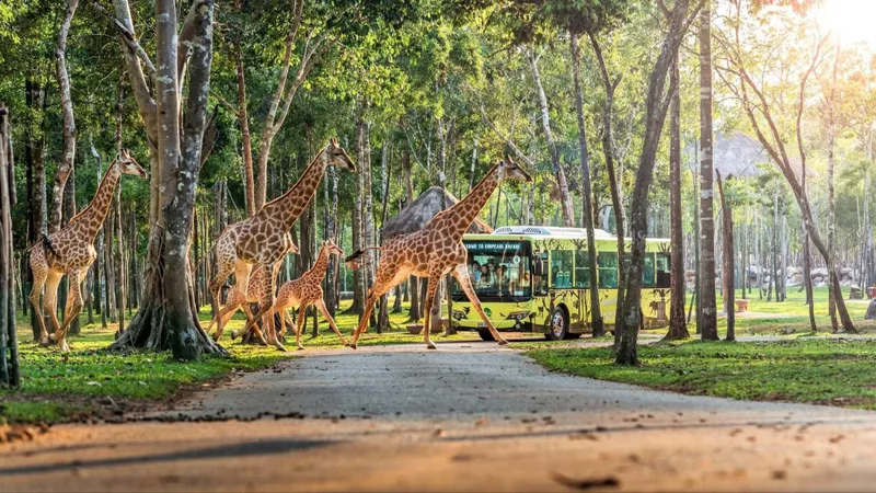 10 năm Vinpearl Safari Phú Quốc: Dấu ấn tiên phong của Safari bán hoang dã đầu tiên tại Việt Nam