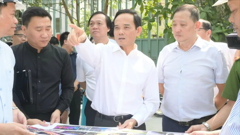 Lãnh đạo TPHCM kiểm tra tiến độ chỉnh trang 9 khu đất trống làm công viên, vườn hoa phục vụ tết