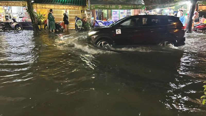TPHCM rà soát, hoàn thiện phương án phòng, chống thiên tai năm 2026