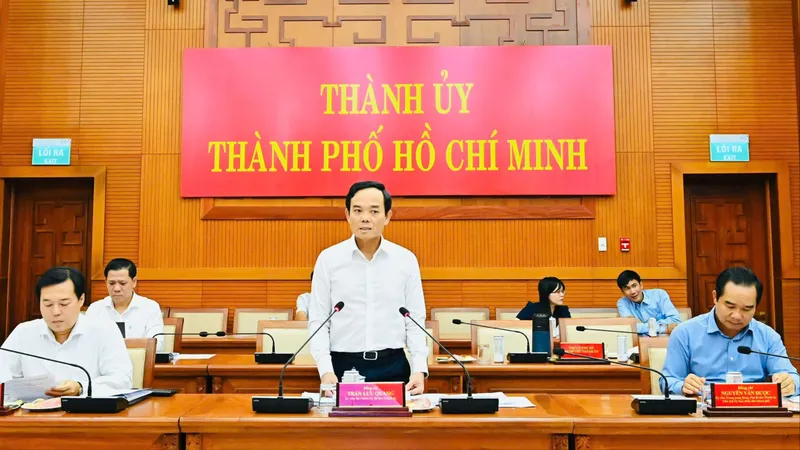 Bí thư Thành ủy TPHCM Trần Lưu Quang chủ trì họp Ban Chỉ đạo bầu cử thành phố