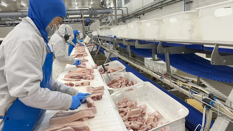 Không lo thiếu thịt heo dịp Tết Bính Ngọ