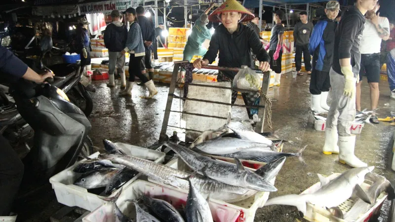 Không khí tại cảng cá Thọ Quang vào những ngày cuối năm vô cùng nhộn nhịp 
