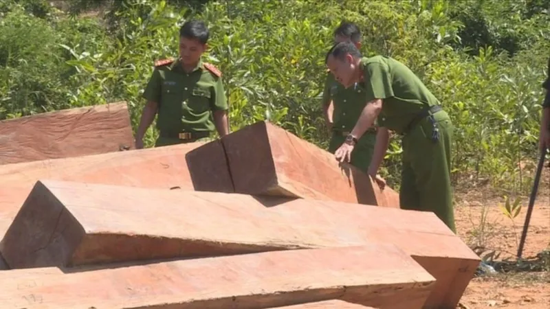 Khởi tố Giám đốc Công ty lâm nghiệp Ea Kar 