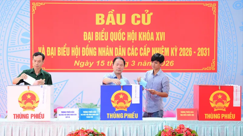 Tính đến 11 giờ 30, hơn 44% cử tri TPHCM đã bỏ phiếu