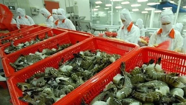 Hoa Kỳ công bố mức thuế sơ bộ với tôm Việt Nam