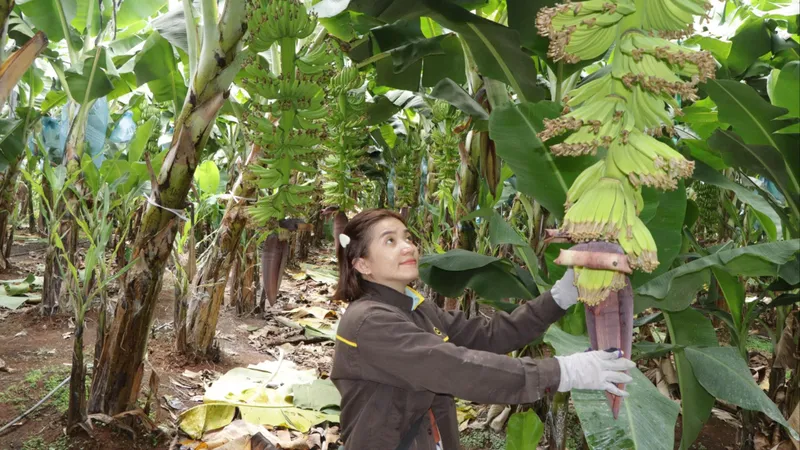 Xã Kim Long đồng hành cùng doanh nghiệp, HTX và hộ kinh doanh