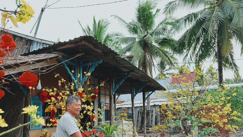 Sắc hoa vàng báo hiệu mùa xuân phương Nam thật gần. Ảnh: ĐỖ TÌNH