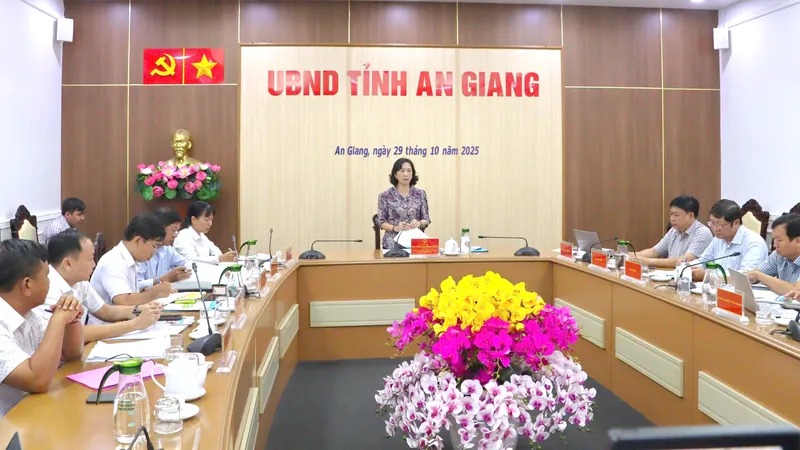 Phó Chủ tịch UBND tỉnh An Giang Nguyễn Thị Minh Thúy phát biểu chỉ đạo tại buổi làm việc