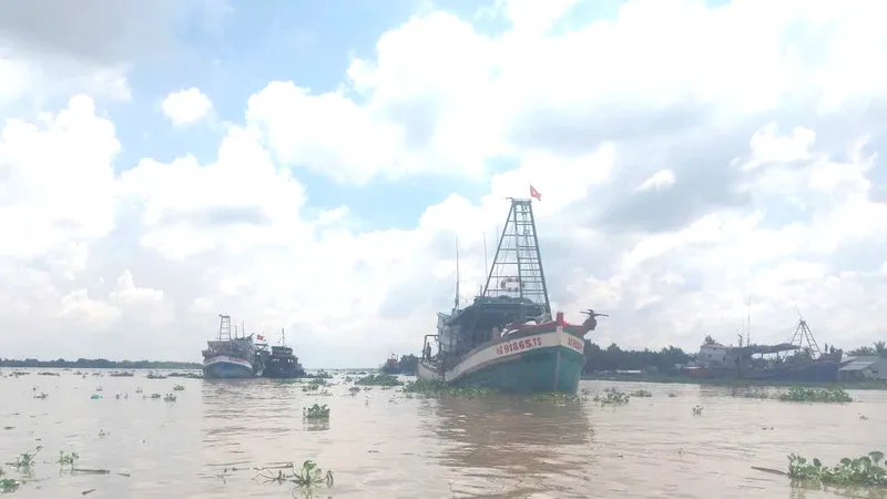 UBND tỉnh An Giang kêu gọi chủ tàu, thuyền trưởng và các cá nhân liên quan nghiêm túc chấp hành các quy định pháp luật về chống khai thác IUU. Ảnh minh họa