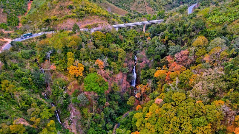 Mang Den Pass cloaked in vibrant hues as natural forests shed leaves