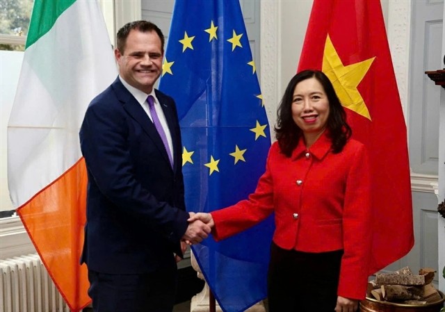 Vietnam, Ireland hold deputy foreign minister-level political consultation 