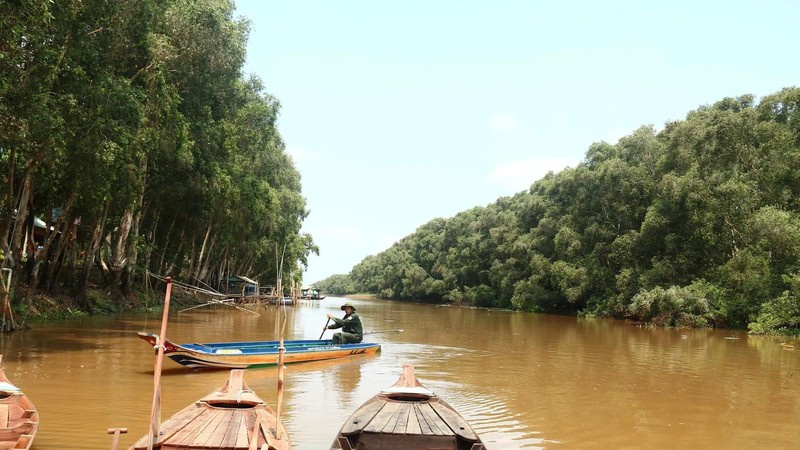 Rangers trade holidays for vigil in Dong Thap forests
