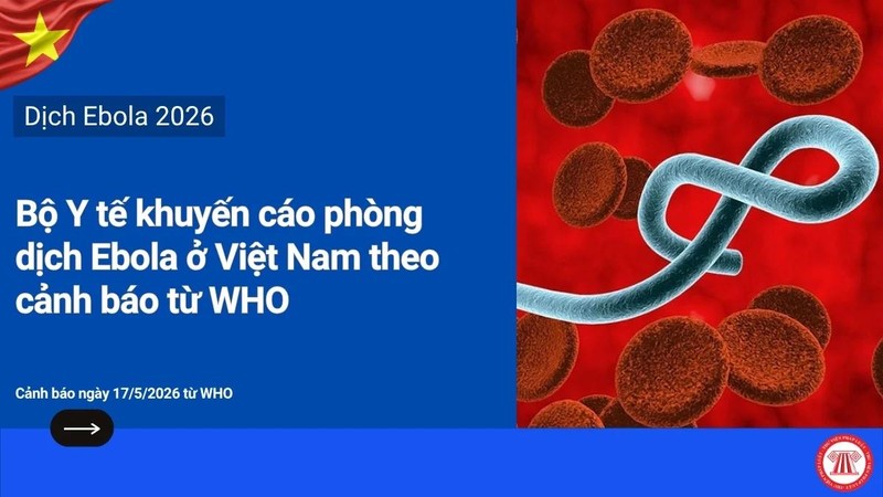 HCMC sounds alarm over Ebola, mandating strict border and hospital screening
