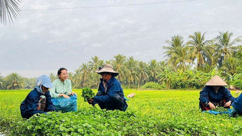 Ho Chi Minh City private sector drives high-tech green agriculture boom